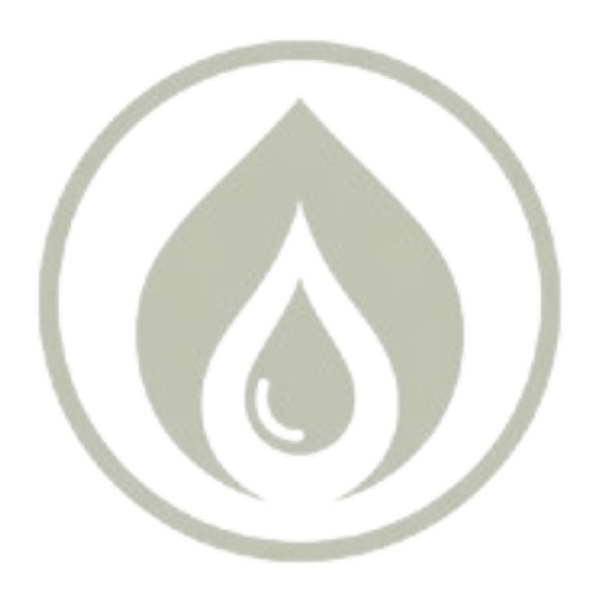 Global Vital Observer